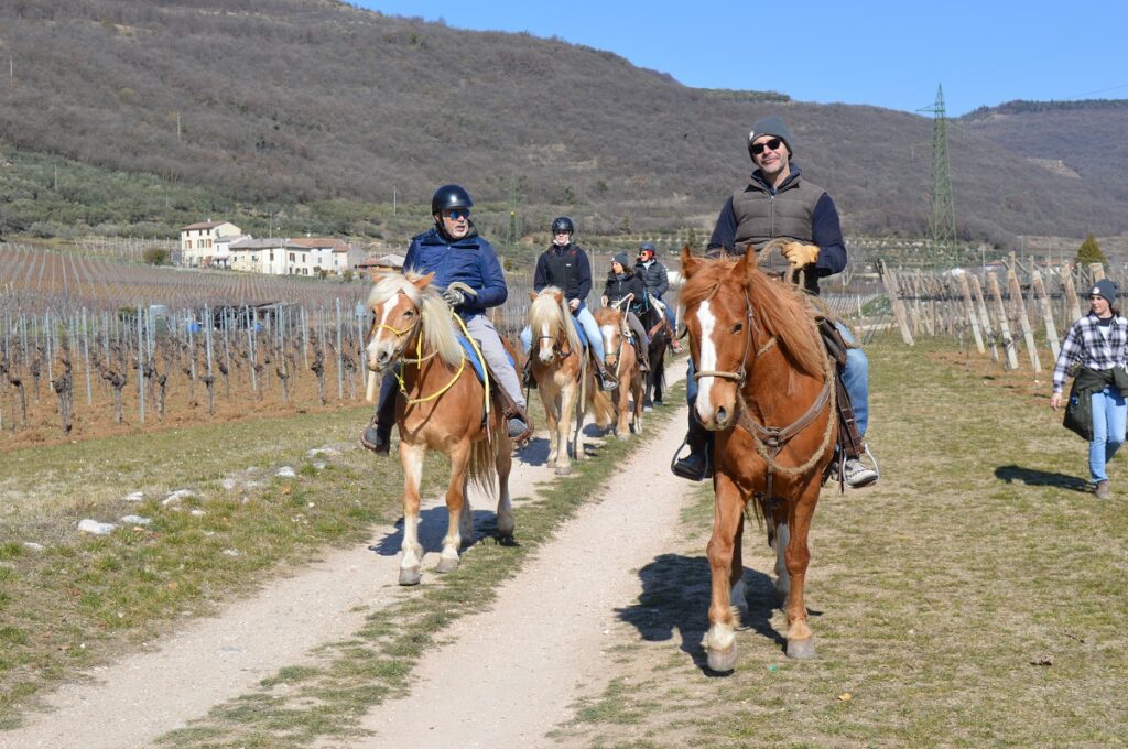 Trekking e passeggiate(2)