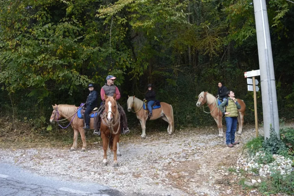 Trekking e passegiate